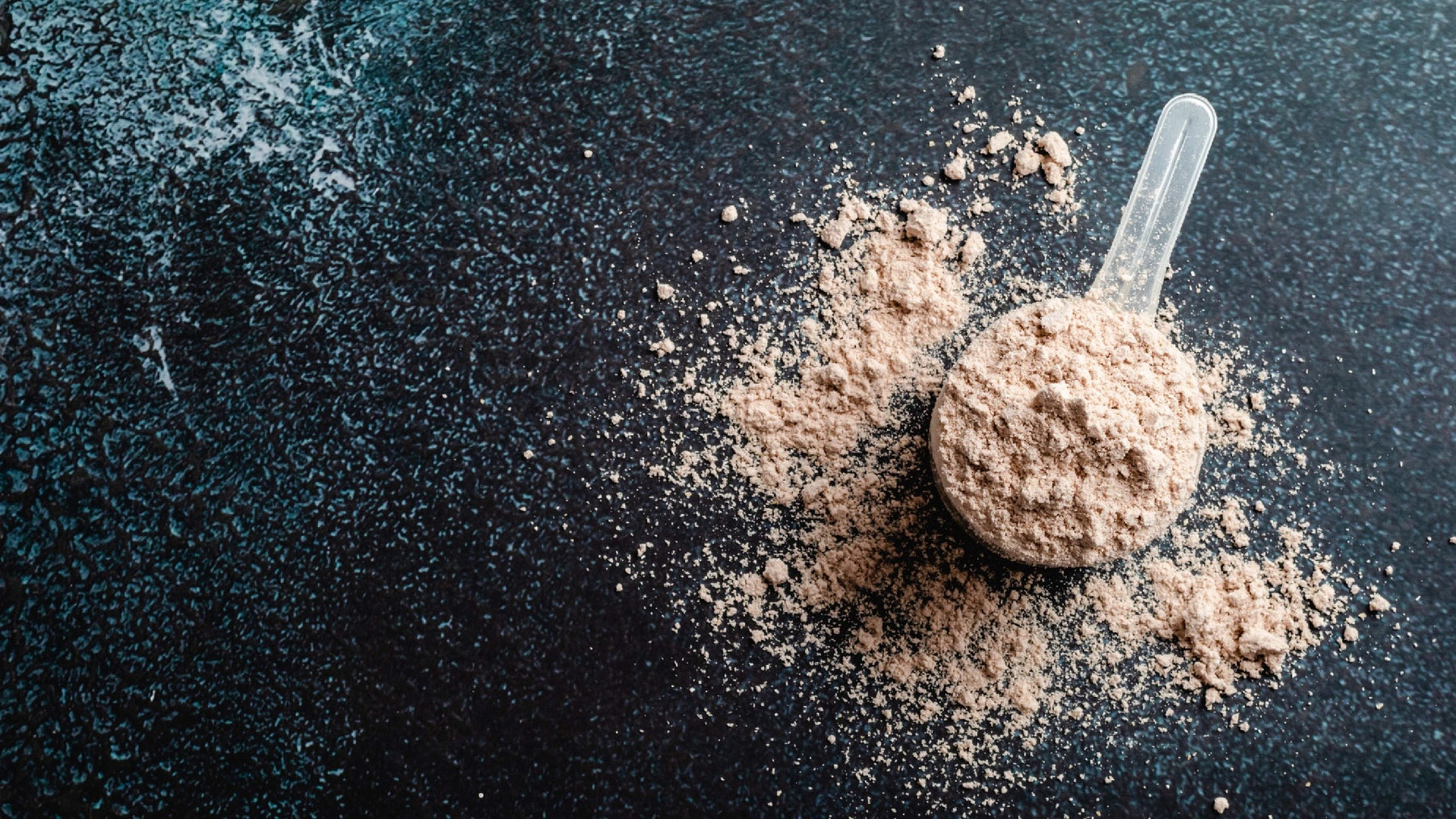 What-People-Ask-About-UMP-Protein... FITBODY.com