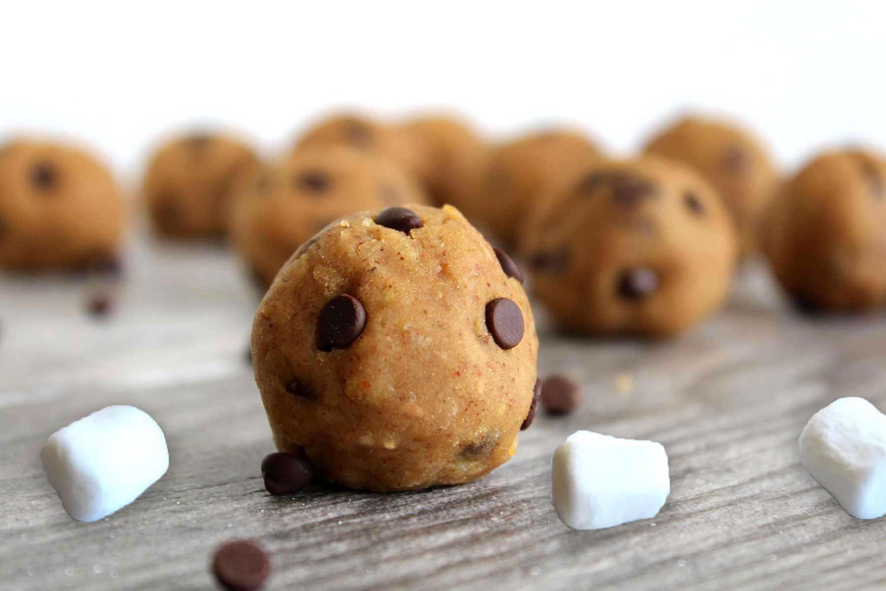 S’more Protein Bites Recipe with Beverly International UMP Protein Powder
