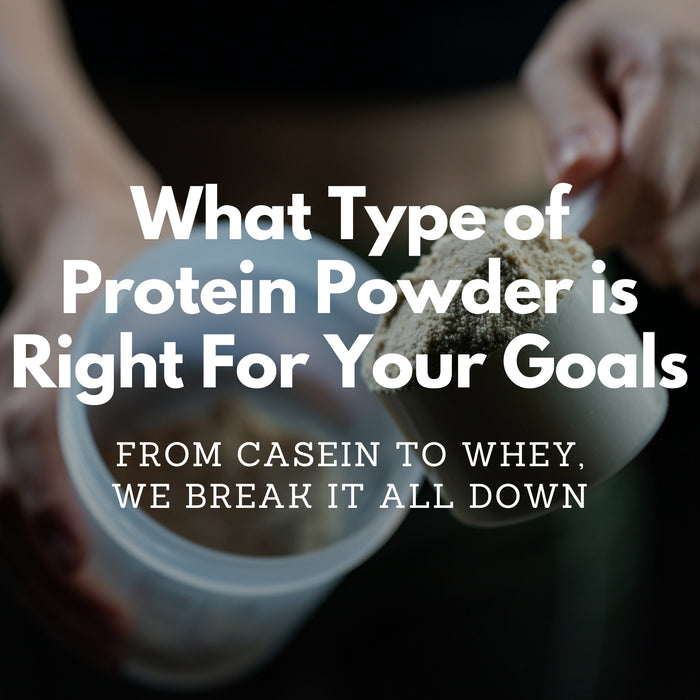 What are the different types of protein powder?