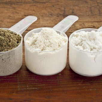 What's the difference between UMP and Muscle Provider Proteins?