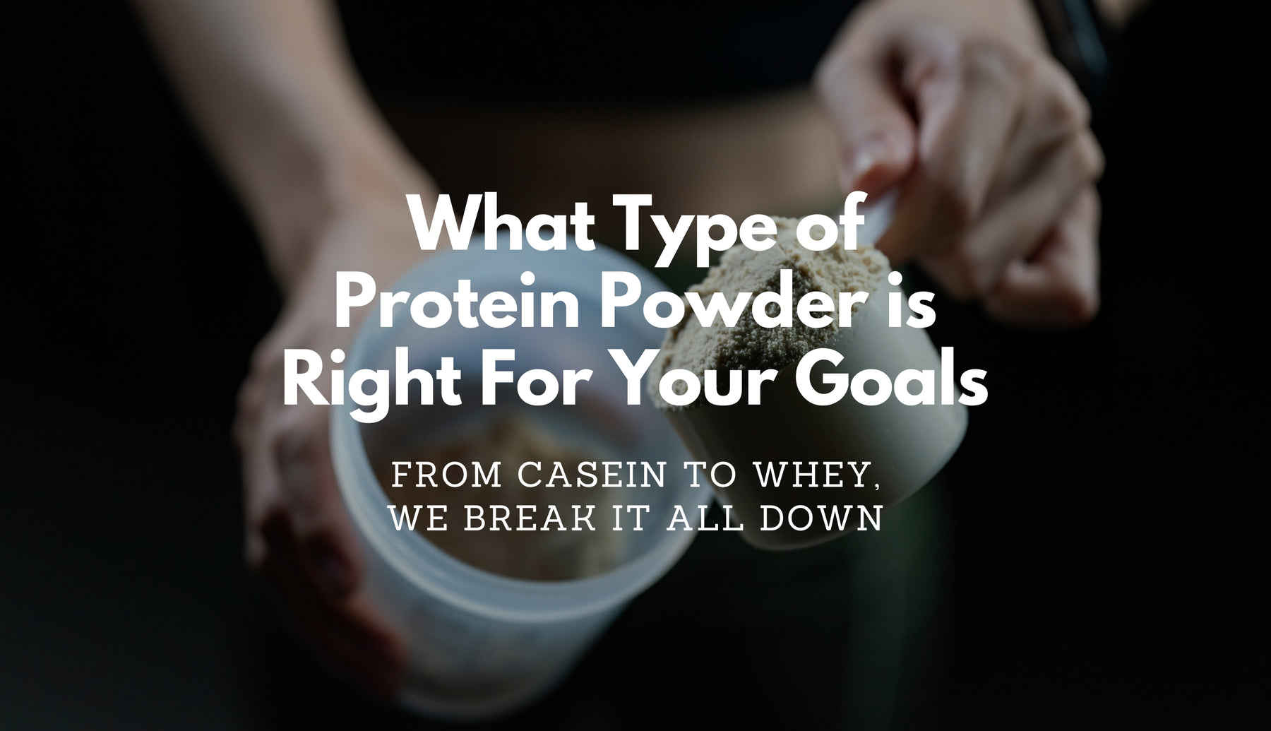 What are the different types of protein powder?